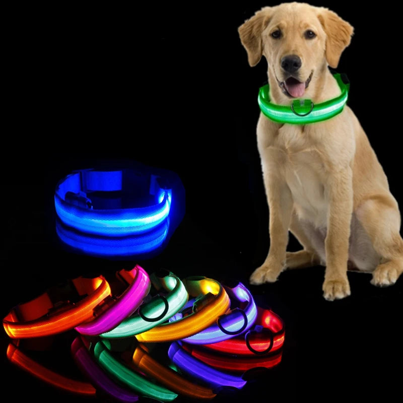 Coleira de cachorro com LED, coleira anti-perda para cães, filhotes, para noite coleira luminosa, produtos para animais de estimação, acessórios, carregamento USB / Bateria