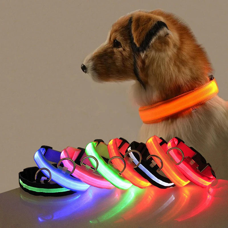 Coleira de cachorro com LED, coleira anti-perda para cães, filhotes, para noite coleira luminosa, produtos para animais de estimação, acessórios, carregamento USB / Bateria