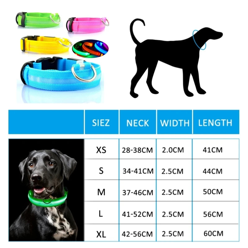 Coleira de cachorro com LED, coleira anti-perda para cães, filhotes, para noite coleira luminosa, produtos para animais de estimação, acessórios, carregamento USB / Bateria